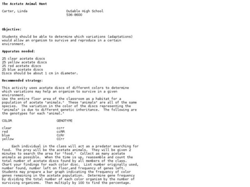 The Acetate Animal Hunt Lesson Plan