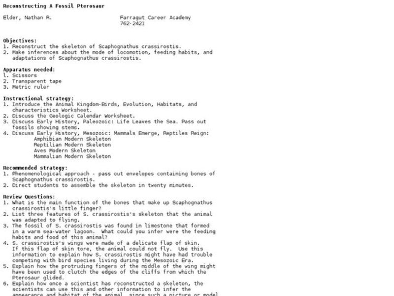 Reconstructing a Fossil Pterosaur Lesson Plan