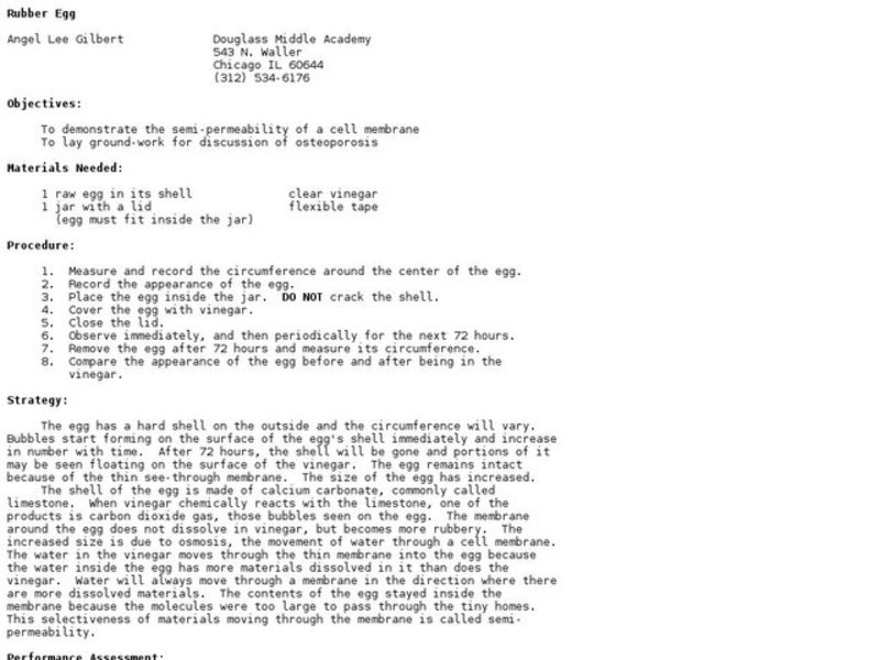 Rubber Egg Lesson Plan