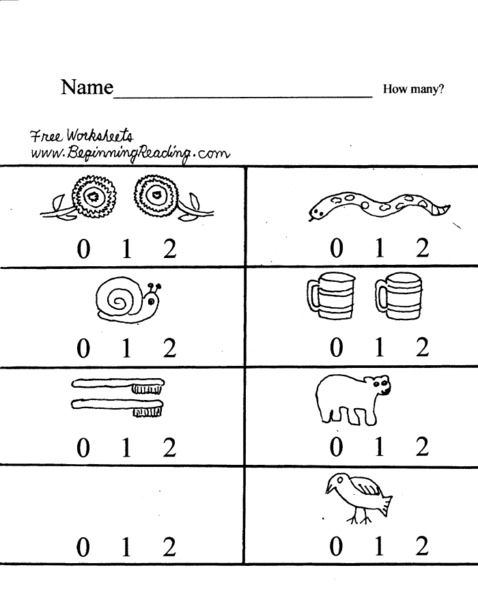 Counting Objects Lesson Plan