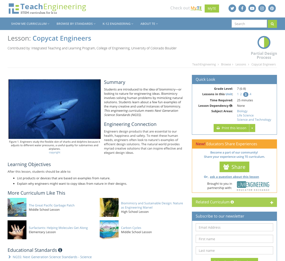 Copycat Engineers Lesson Plan