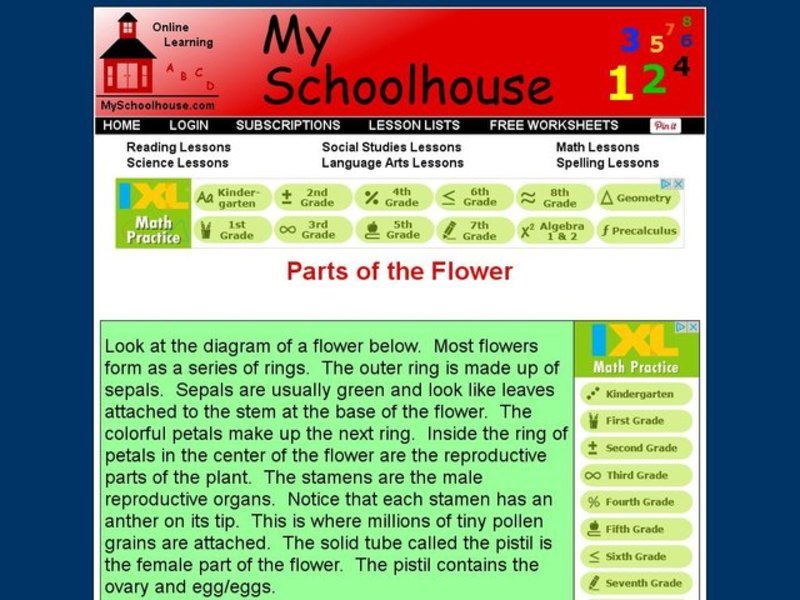 Parts of the Flower Interactive