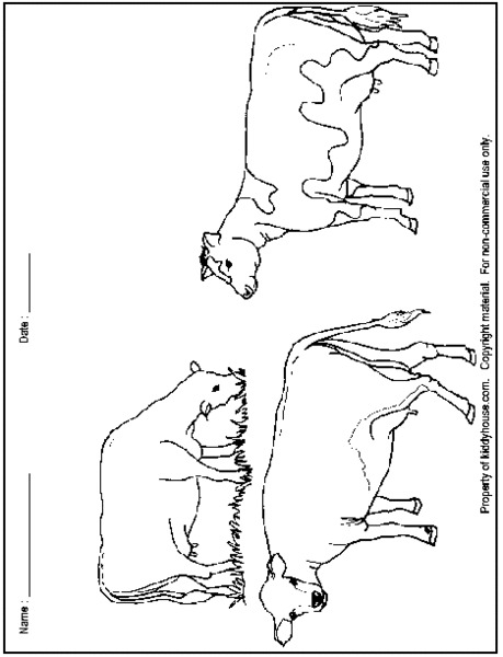 Cows Worksheet