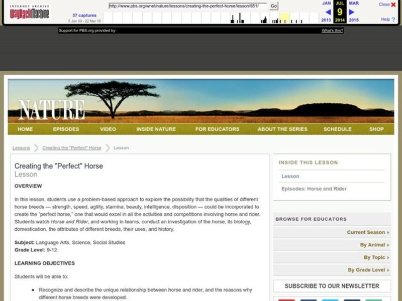 Creating the "Perfect" Horse Lesson Plan