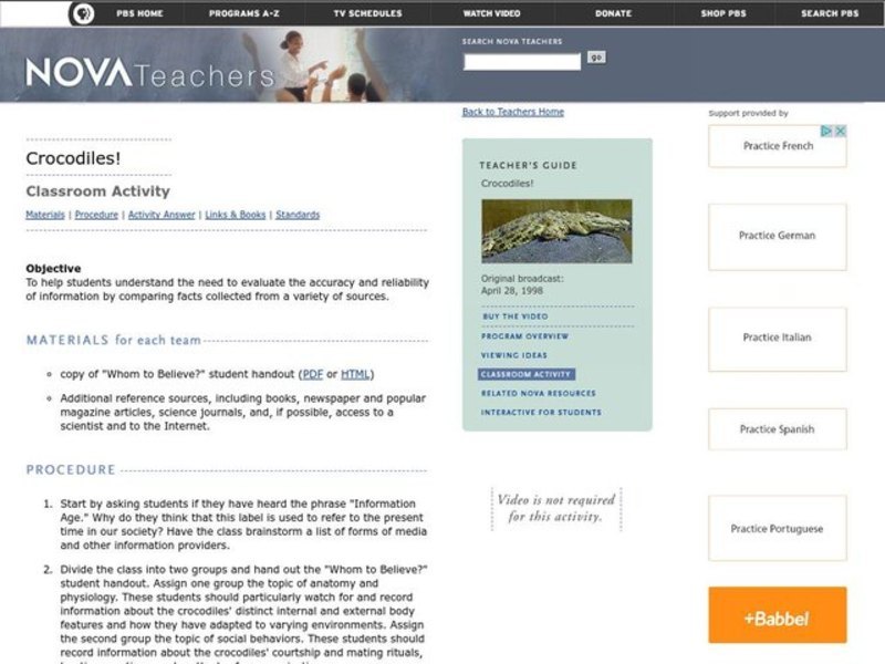 Crocodiles Lesson Plan