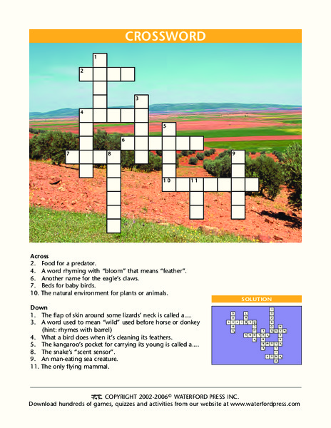 Crossword Lesson Plan