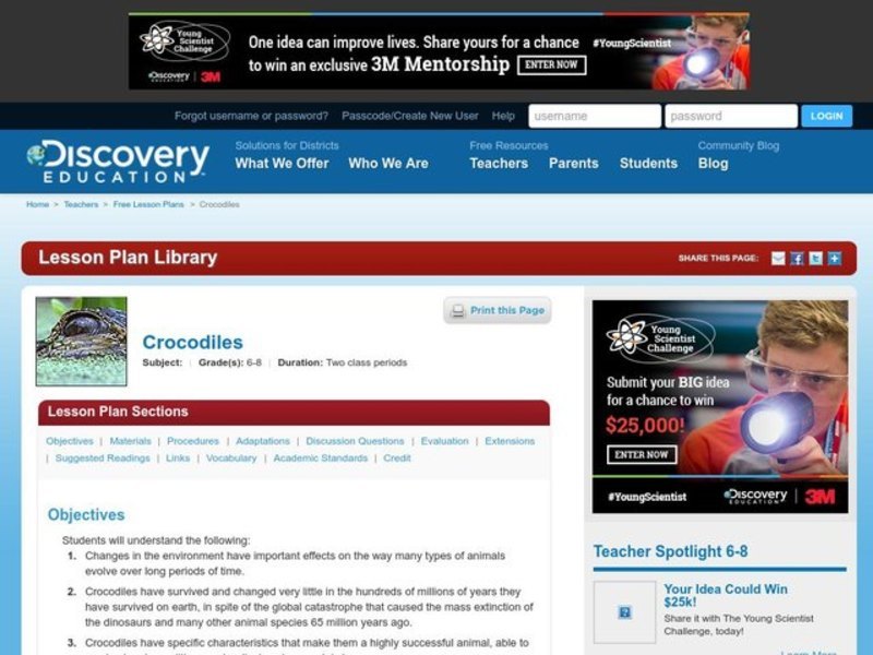 Crocodiles Lesson Plan