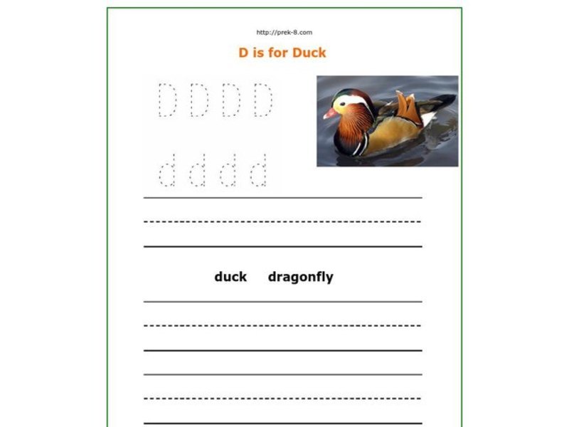 D Is For Duck Worksheet