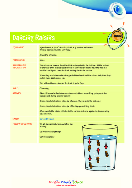Dancing Raisins Worksheet