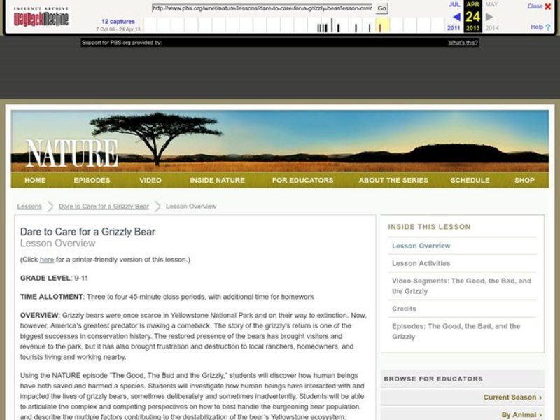 Dare to Care for a Grizzly Bear Lesson Plan