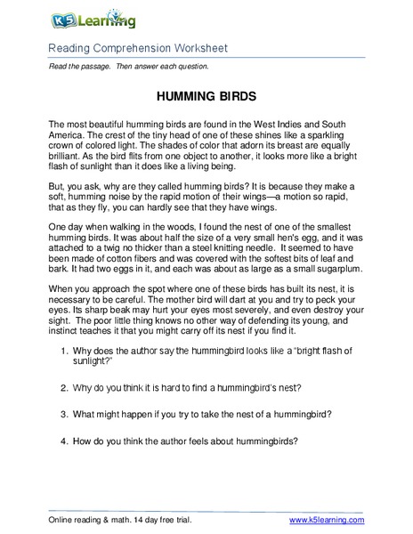 Humming Birds Worksheet