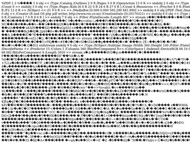 Decimals and Fractions Lesson Plan
