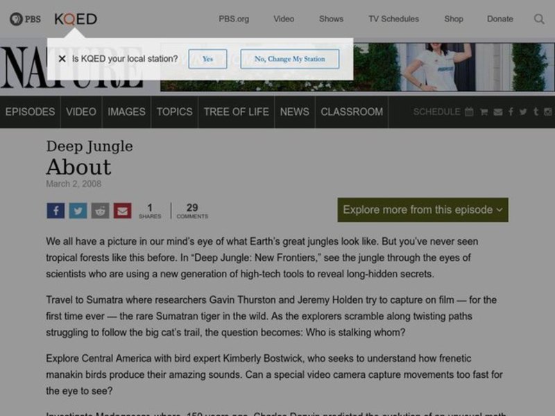 Deep Jungle: New Frontiers Lesson Plan