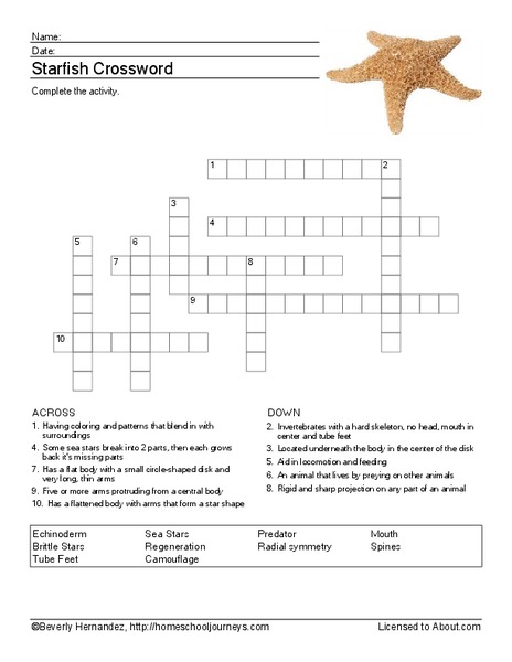 Starfish Crossword Worksheet
