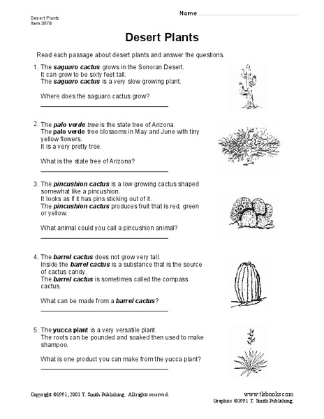 Desert Plants Lesson Plan