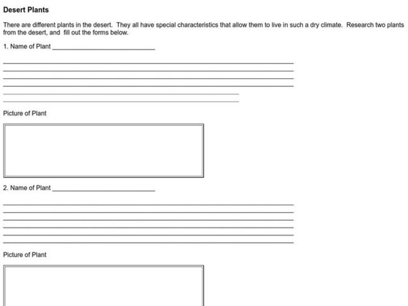 Desert Plants Worksheet