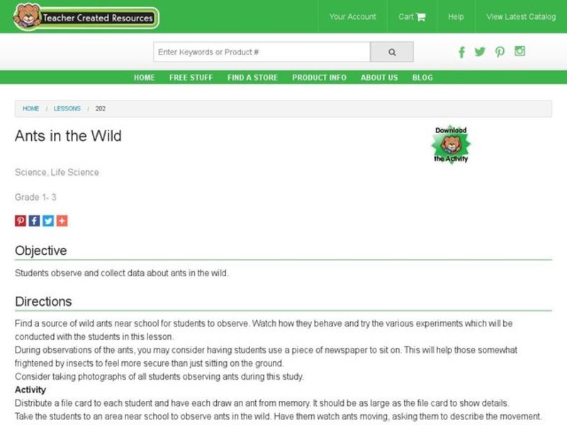 Ants in the Wild Lesson Plan