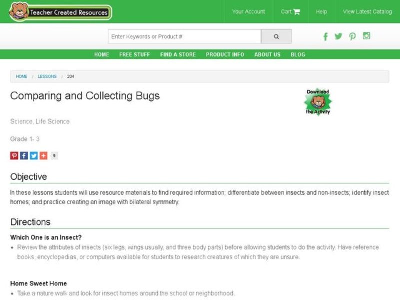Comparing and Collecting Bugs Lesson Plan