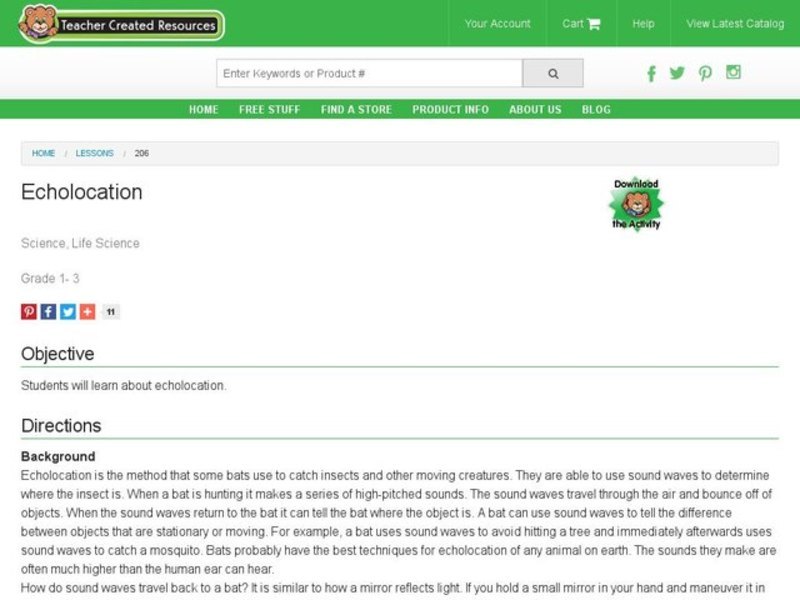 Echolocation Lesson Plan