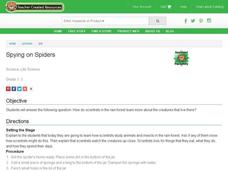 Spying on Spiders Lesson Plan