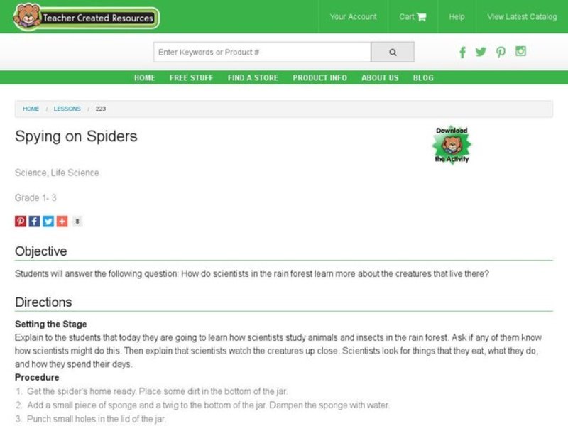 Spying on Spiders Lesson Plan