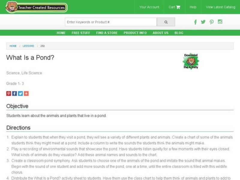 What Is a Pond? Lesson Plan
