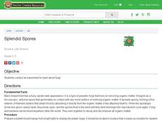 Splendid Spores Lesson Plan