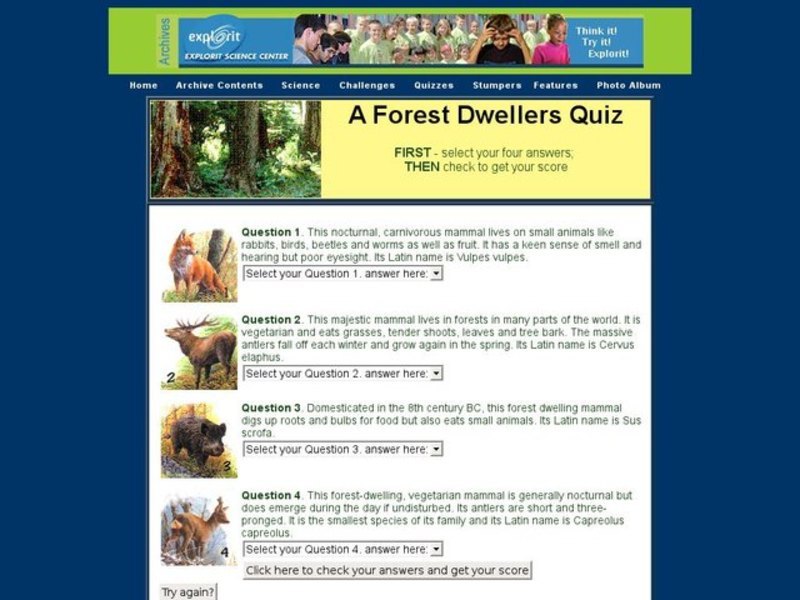 A Forest Dwellers Quiz Interactive