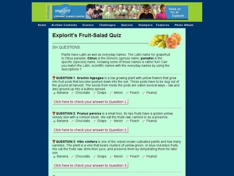 Explorit's Fruit Salad Quiz Interactive