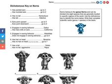 Dichotomous Key Worksheet