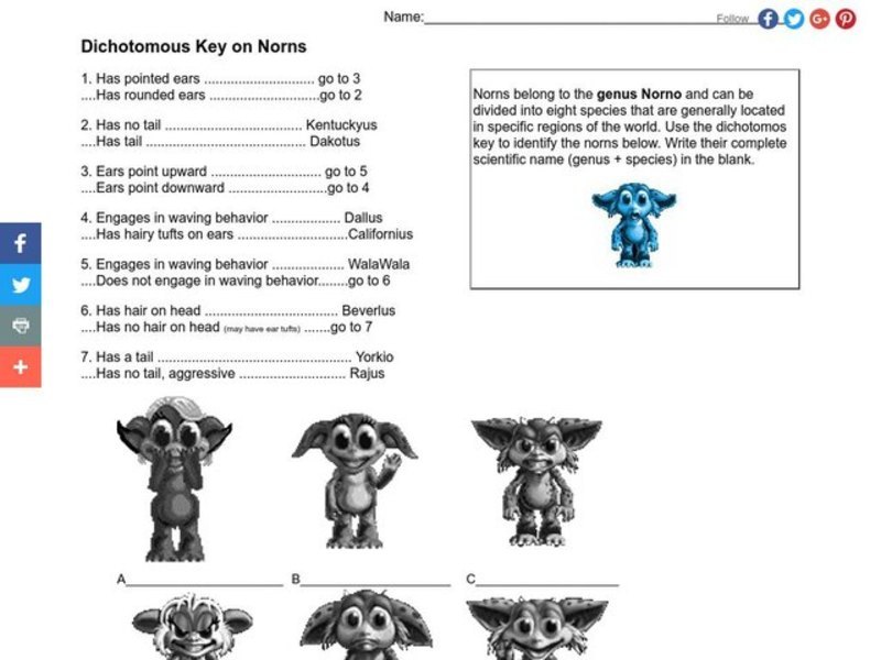 Dichotomous Key Worksheet