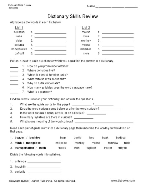 Dictionary Skills Review Worksheet
