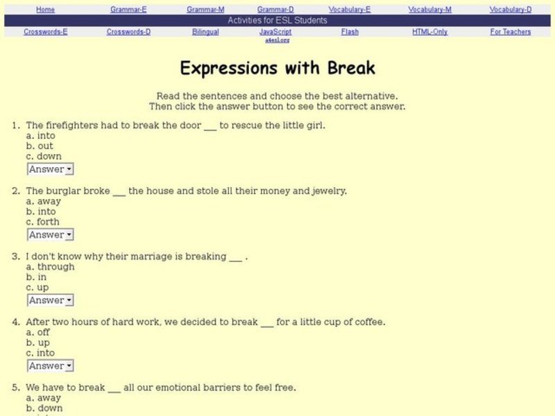Expressions With Break Interactive