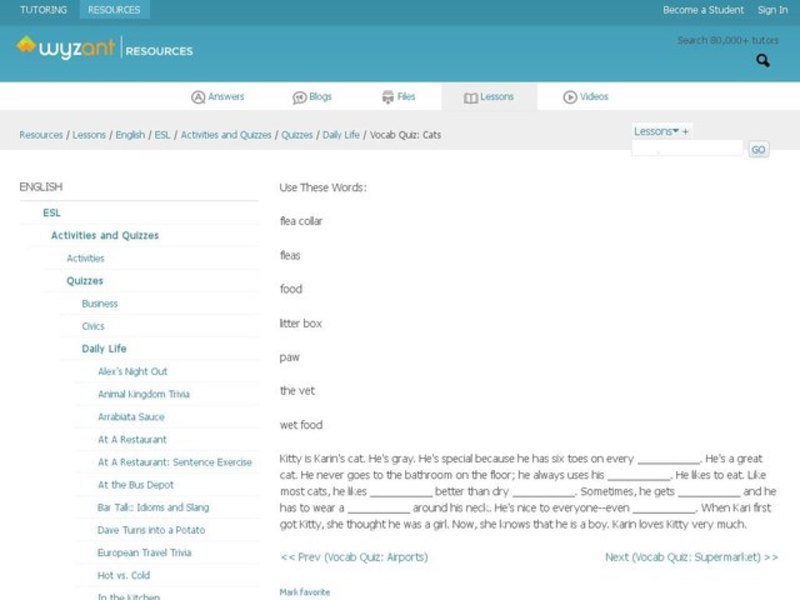 Kitty: Cat Vocabulary Interactive