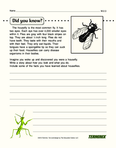 Did You Know? Writing