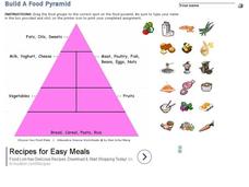 Build a food pyramid Interactive