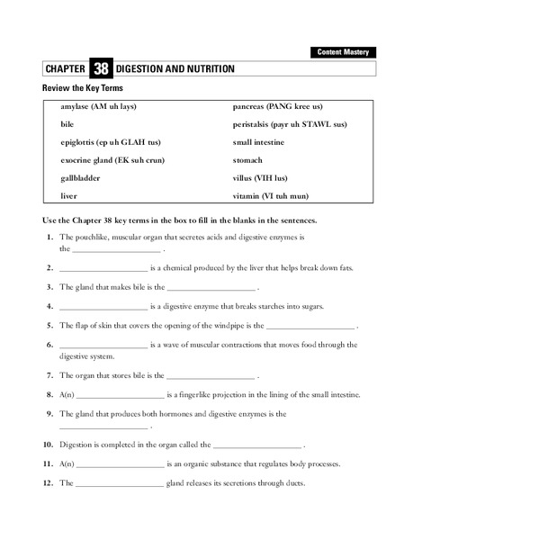 Digestion and Nutrition Worksheet