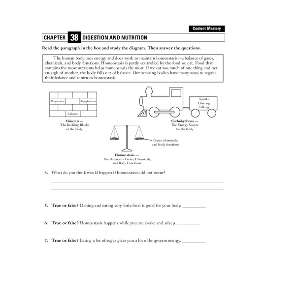 Digestion and Nutrition Worksheet