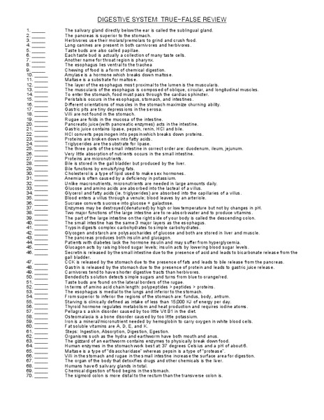 Digestive System Worksheet
