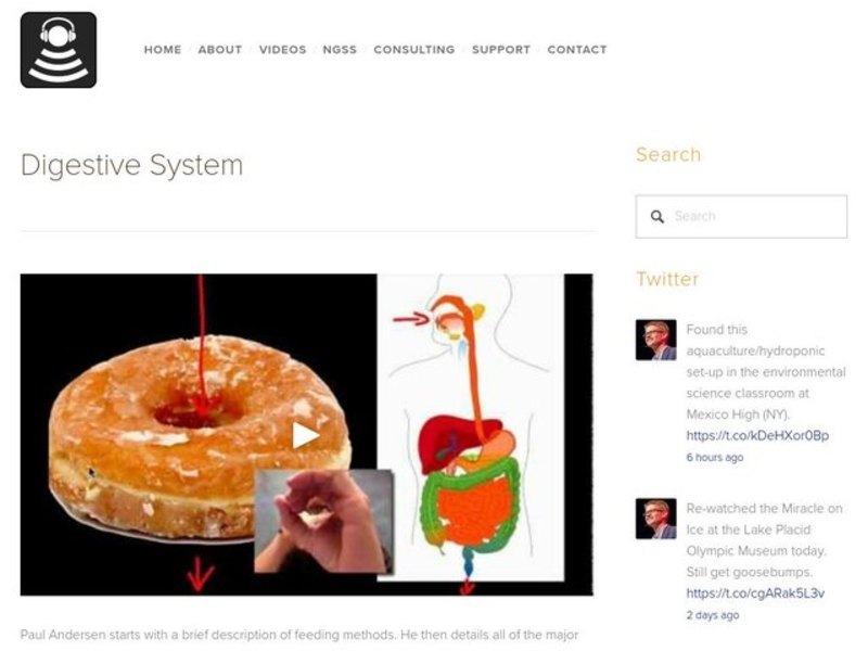 Digestive System Instructional Video