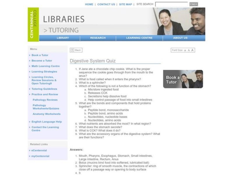 Digestive System Quiz Worksheet