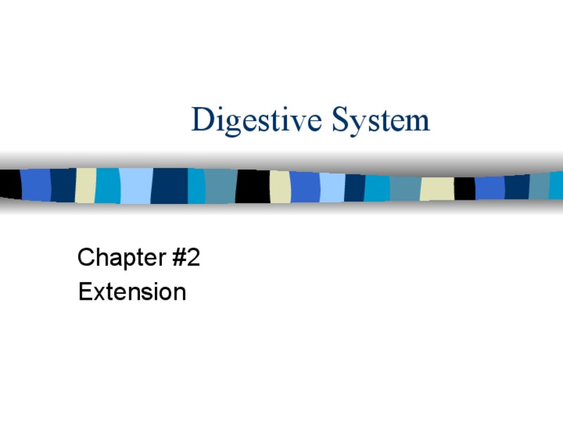 Digestive System PPT