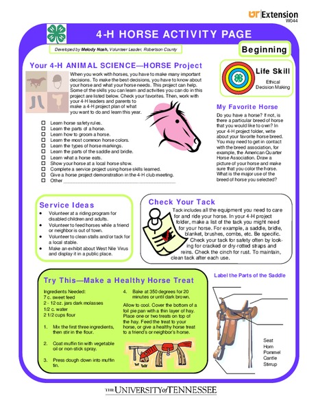 4-H Horse Activity Page Worksheet