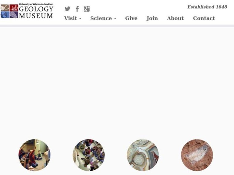 Dinosaur Prints Lesson Plan