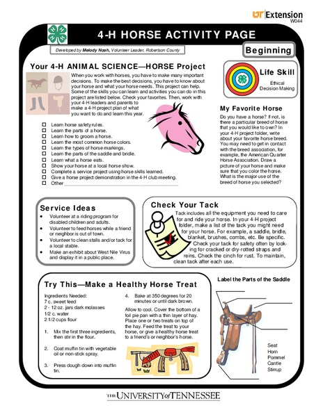 4-H Horse Activity Page Worksheet