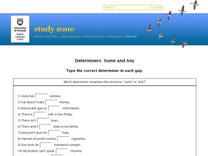 Determiners: Some and Any Interactive