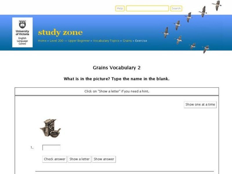 Grains Vocabulary 2 Interactive