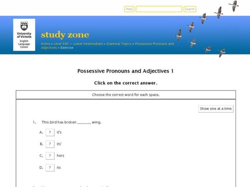 Possessive Pronouns and Adjectives 1 Interactive