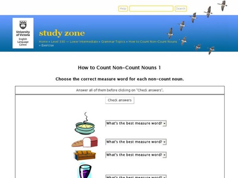 How to Count Non-Count Nouns Interactive