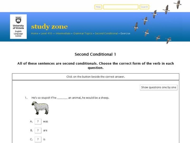 Verb Forms: Second Conditional Interactive
